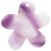  Fleurs