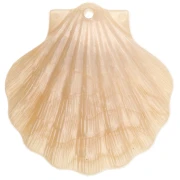 Pendentif coquillage 41x40 mm en acrylique - Beige nacré x1