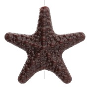 Marron foncé - Perle étoile de mer texturée 31x33 mm en acrylique - Marron foncé x1 Perle étoile de mer texturée 31x33 mm en acrylique - Marron foncé x1