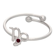 Bague réglable signe du zodiaque - Capricorne - Acier inox 304L - Rouge x1