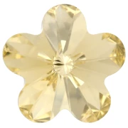 Cabochons