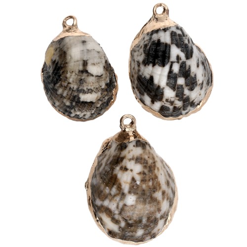 Pendentif coquillage tacheté de 25 à 30 mm avec bordures dorées - Marron Beige x1