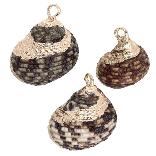 Pendentif coquillage tacheté de 15 à 20 mm avec bordures dorées - Gris - Noir x1