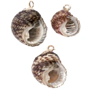 Pendentif coquillage tacheté de 15 à 20 mm avec bordures dorées - Gris - Noir x1