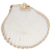 Pendentif coquillage de 40 à 50 mm avec bordures dorées - Naturel x1|raw }}