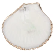 Pendentif coquillage de 40 à 50 mm avec bordures dorées - Naturel x1
