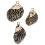 Pendentif coquillage rayés de 15 à 25 mm avec bordures dorées - Marron - Noir x1|raw }}