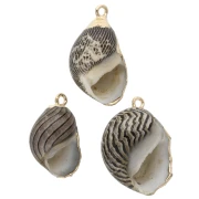 Pendentif coquillage rayés de 15 à 25 mm avec bordures dorées - Marron - Noir x1