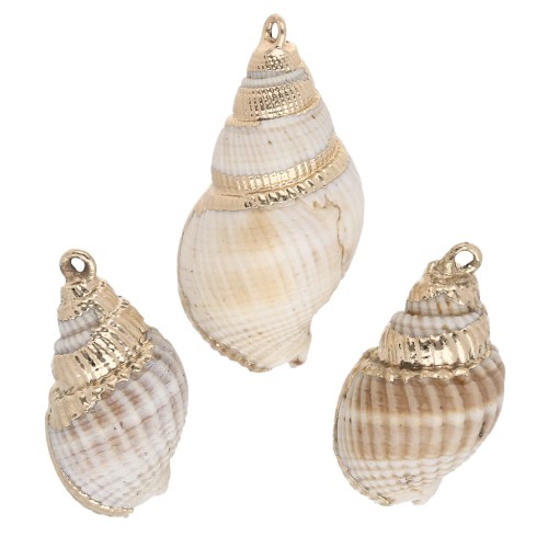 Pendentif coquillage de 20 à 30 mm avec bordures dorées - Naturel x1