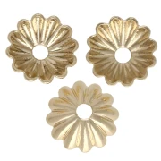 Fleurs