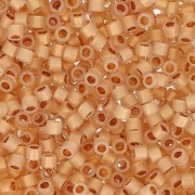 Miyuki Delica 11/0 DB0230 -  24kt Gold Lined Opal x5g