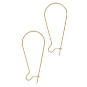 Crochets d'oreilles dormeuses 38 mm - Acier inoxydable 304 Doré x2
