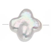 Fleurs