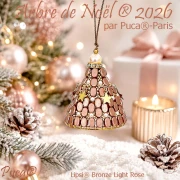 Perles en verre Lipsi® par Puca® 4x6 mm - Bronze Light Rose x10g