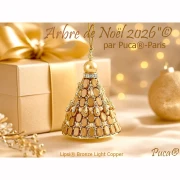 Perles en verre Lipsi® par Puca® 4x6 mm - Bronze Light Rose x10g