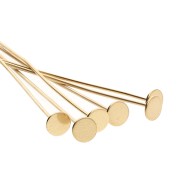 Clou tête plate large 25x0.6 mm - Acier inoxydable 304 Doré x6