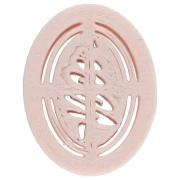 Emporte-pièce ovale 25x18 mm - motif sapin - en polymère biodégradable - Beige x1