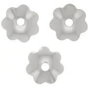Fleurs