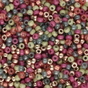 Mix de rocailles Miyuki 11/0 - Elegant Fall 1 x8g