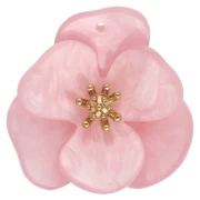  Fleurs