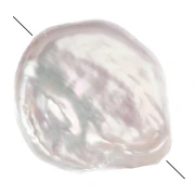 Perle d'eau douce irrégulière - palet rond 18 mm - Grade AA+ Blanc x1
