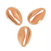 Intercalaires coquillage Cauri 12 mm doré rose x4