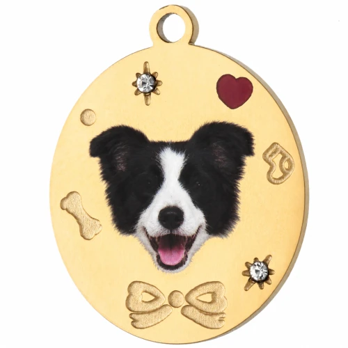 Breloque ovale 19x15 mm impression UV tête de Border Collie - Acier inox 304 Doré