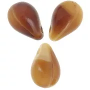 Gouttes 6x9 mm Cream Caramel x25