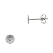 Clous d'oreilles disque 6 mm Acier Inox 304 x10|raw }}