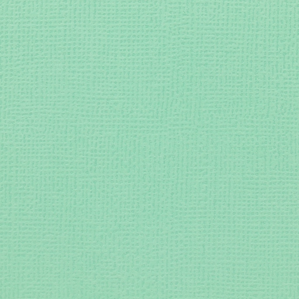 Feuille cardstock adhésive pour Silhouette 30.5x30.5 cm Mint x1