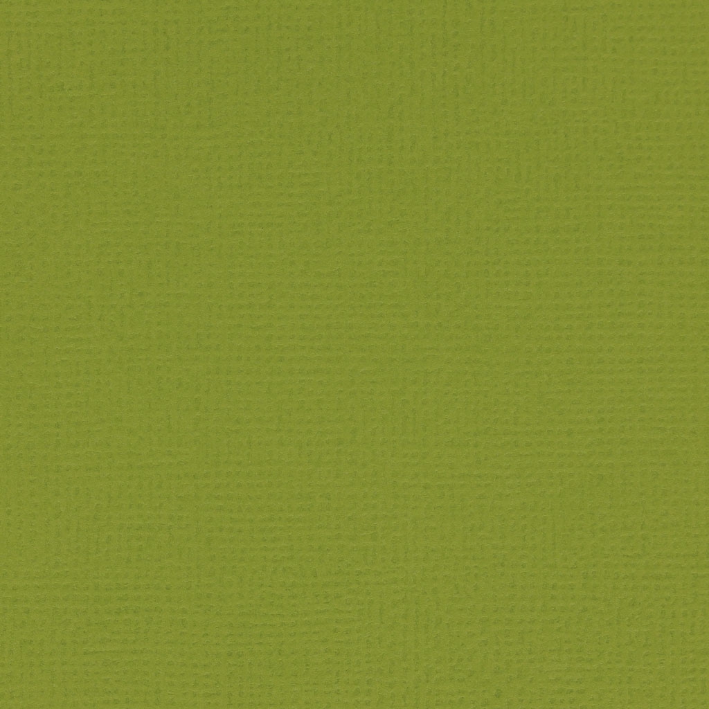 Feuille cardstock adhésive pour Silhouette 30.5x30.5 cm Vert Feuille x1