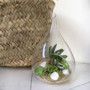 Gravier de décoration Blanc x725gr