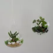 Gravier de décoration Blanc x725gr