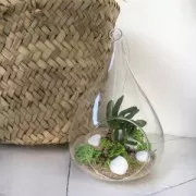 Galets décoratifs 1 à 3 cm Marron x1kg