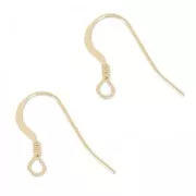 Crochets d'oreilles 14 mm en Gold filled (or laminé)    x2