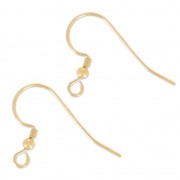 Crochets d'oreilles 17 mm en Gold filled (or laminé)    x2|raw }}