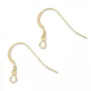 Crochets d'oreilles 19 mm en Gold filled (or laminé)  x2