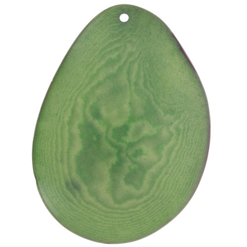 Fine tranche de Tagua 35-45 mm Vert x1