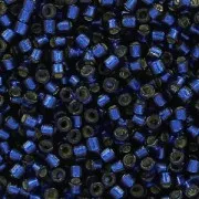 Miyuki Delica Duracoat 11/0 DB2191 - Dyed Navy Silver Lined x8g