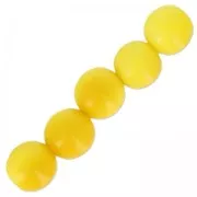 Perles rondes de Tagua 5 mm Jaune x 8