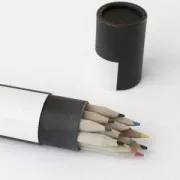 Assortiment de 12 crayons de couleur House Doctor dans un tube en carton