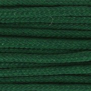 Fil de jade / Fil nylon tressé européen Griffin 0.3 à 0.5 mm Dark Green x25m