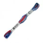 Fil à broder DMC Mouliné Coloris Multicolore States (4512) x8m