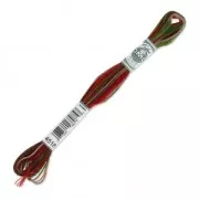 Fil à broder DMC Mouliné Coloris Multicolore Cottage (4518) x8m