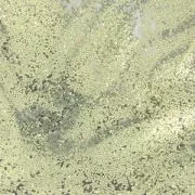 Paillettes cosmétiques pour création diy de bombe de bain/savon Doré x1g