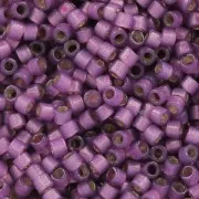 Miyuki Delica Duracoat 11/0 DB2182 - Alabaster Silver Line Dyed Lilac x8g