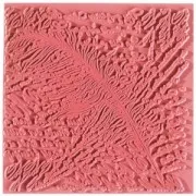 Plaque de texture Efco - Tapis d'empreinte pour pâte 9 cm Poetry