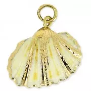 Pendentif coquillage véritable 25-30mm Naturel - Doré x1