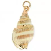 Pendentif coquillage spirale véritable 26-32mm Naturel/doré x1