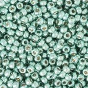 Rocaille Miyuki Duracoat 11/0 4216 - Galvanized Sea Foam x8g